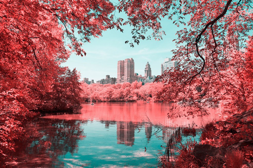 infrared-nyc6